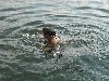 maly_dscf2826.jpg
