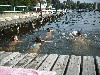 maly_dscf2840.jpg